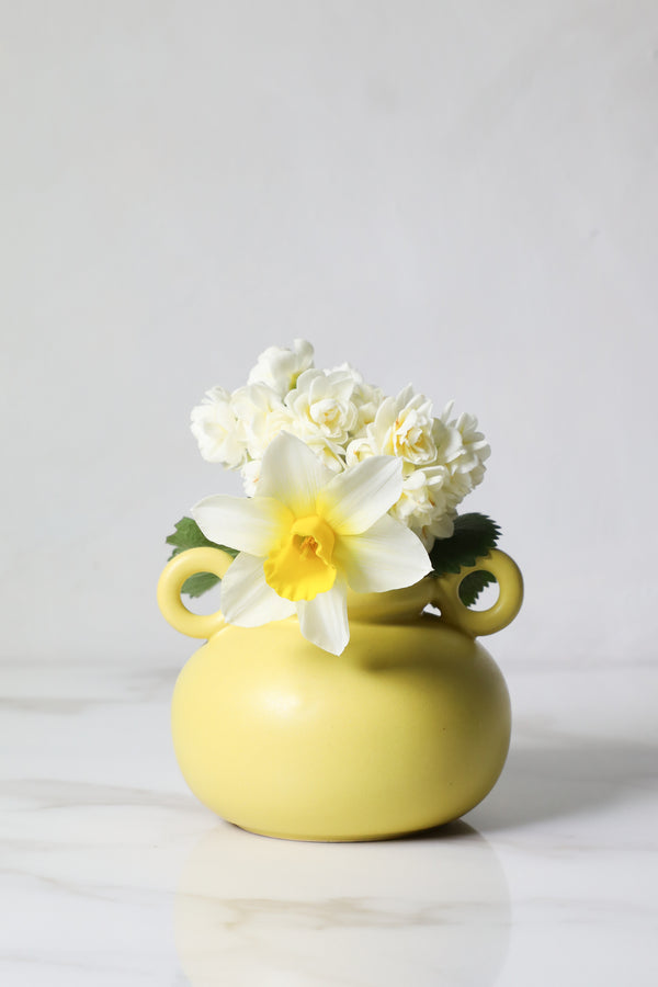 Citreum Bud Vase / Wholesale