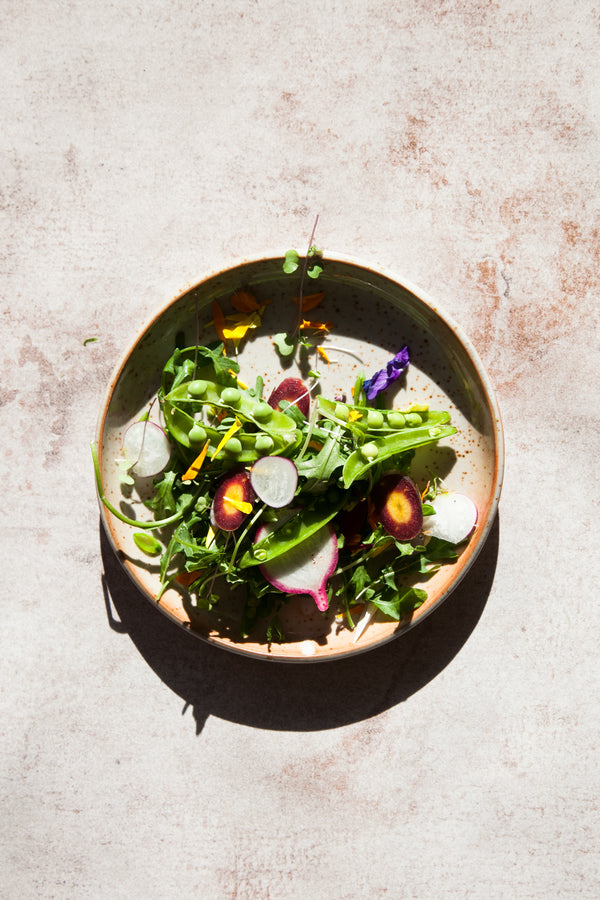 Shino Salad Plate